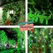 FULLBELL Christmas Decorations Halloween String Lights Outdoor, Green LED Halloween Lights, Green Light for Tree Halloween Decorations.
